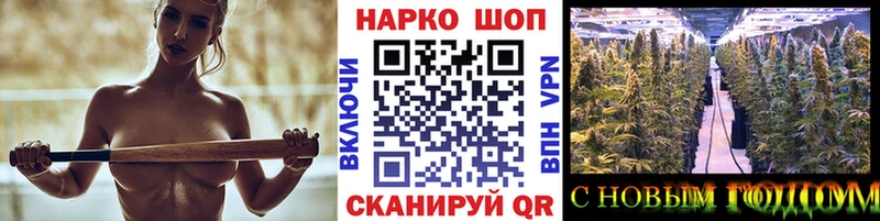Где купить наркотики Канаш Бошки Шишки  АМФЕТАМИН  Галлюциногенные грибы  Меф  ГАШИШ 