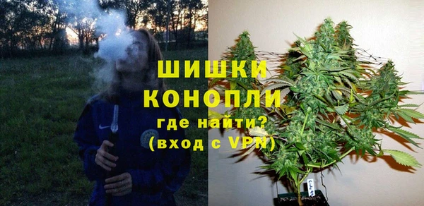 индика Кинешма