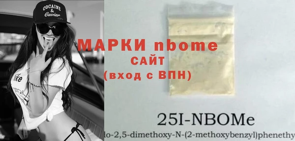 индика Алексин