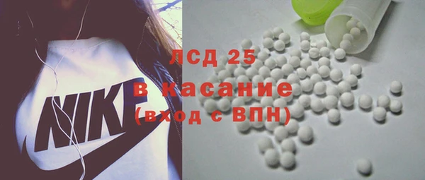 индика Алексин