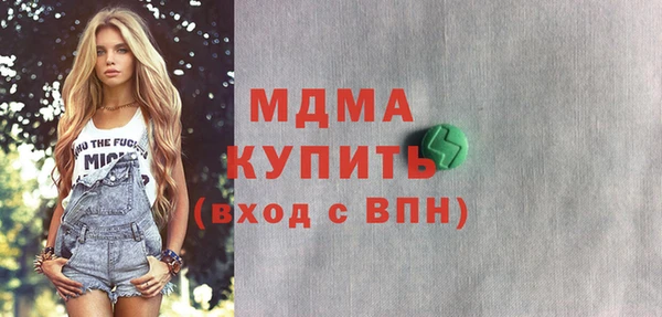 индика Алексин