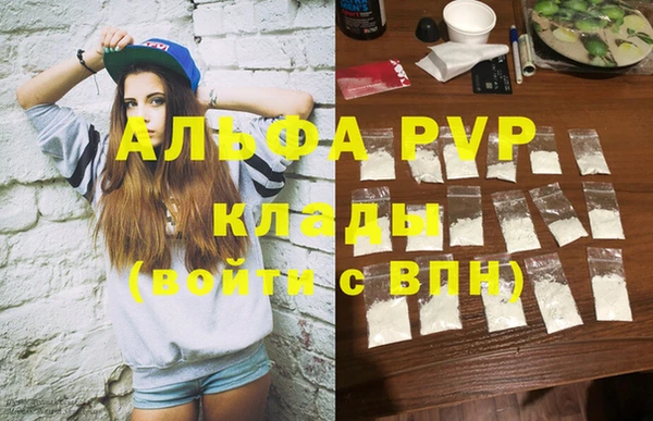 индика Алексин