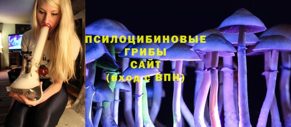 индика Алексин