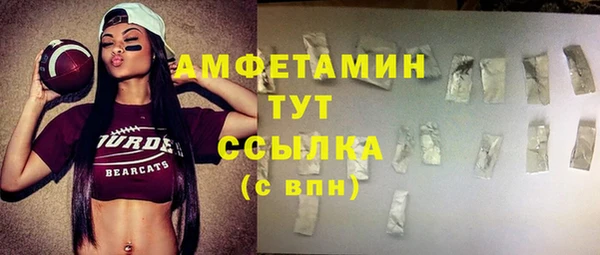 индика Алексин