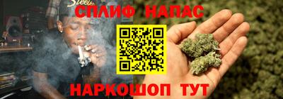 спиды Канаш