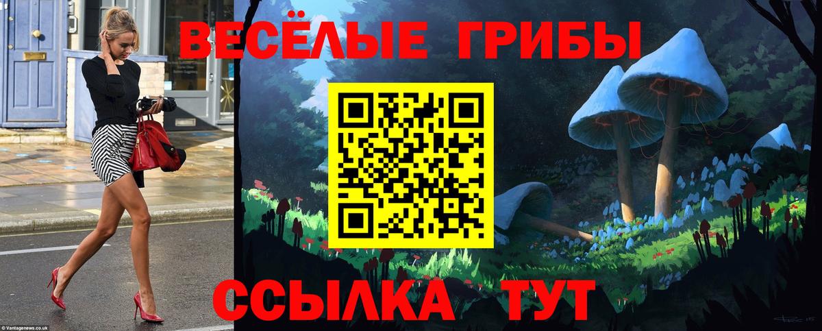 Псилоцибиновые грибы мухоморы Канаш