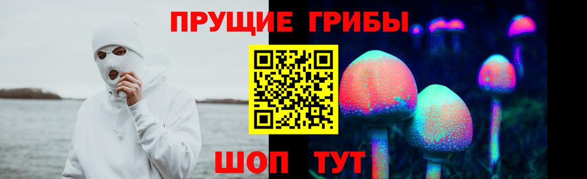 Псилоцибиновые грибы Psilocybe  Вход с VPN  Канаш 